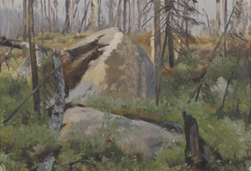 Forêt morte au Canada